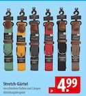 Stretch-Gürtel Angebote bei famila Nordost Gifhorn für 4,99 €