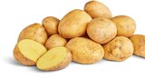 Deutsche Bio-Kartoffeln bei Penny im Siegelsbach Prospekt für 1,89 €