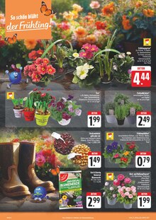 Blumen im E center Prospekt "Wir lieben Lebensmittel!" mit 30 Seiten (Jena)