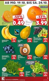 Garten im Kaufland Prospekt in Borken Aktueller Kaufland Prospekt mit Garten, "Hier bin ich richtig", Seite 19