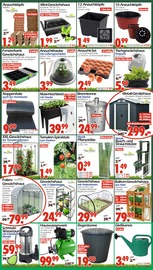 Rankhilfe im Wreesmann Prospekt in Dresden Aktueller Wreesmann Prospekt mit Rankhilfe, "DEIN SAISON- & SONDERPOSTENMARKT!", Seite 5