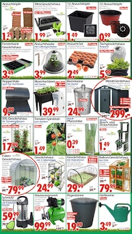 Tomaten im Wreesmann Prospekt "DEIN SAISON- & SONDERPOSTENMARKT!" mit 12 Seiten (Cottbus)