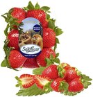 Erdbeeren Angebote von SanLucar bei REWE Heidenheim für 3,49 €