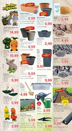 Blumenkasten Angebot im aktuellen Jawoll Prospekt auf Seite 14