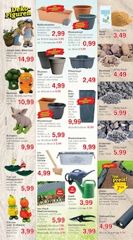 Erdbeeren im Jawoll Prospekt "Sonderposten-Märkte" mit 16 Seiten (Koblenz)