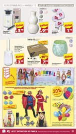 Orchidee im famila Nordwest Prospekt in Oldenburg Aktueller famila Nordwest Prospekt mit Orchidee, "Markt - Angebote", Seite 33