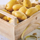 Promo Pomme de terre de consommation a chair ferme à 1,59 € dans le catalogue Intermarché Contact à Felletin