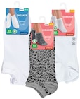 Damen und Herren Sneaker 2 Paar von VIVESS für 7,98 € bei REWE im Angebot Damen und Herren Sneaker 2 Paar von VIVESS im aktuellen REWE Prospekt