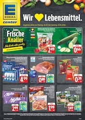 Aktueller E center Prospekt mit Fast Food, "Wir lieben Lebensmittel!", Seite 1