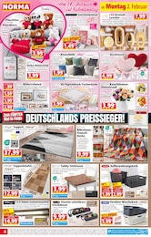 Kunstblumen im Norma Prospekt Kunstblumen im Norma Prospekt "Mehr fürs Geld" auf Seite 4