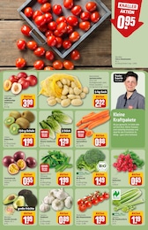 REWE Tierbedarf im Prospekt 