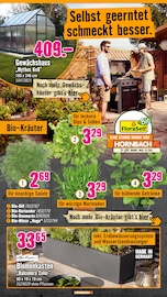 Gartenhaus im Hornbach Prospekt in Essen Aktueller Hornbach Prospekt mit Gartenhaus, "Dir ist vieles Latte. Nur nicht Dein Garten.", Seite 17