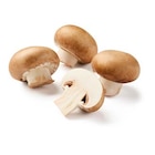 Braune Kulturchampignons im Angebot bei Lidl in Halle Braune Kulturchampignons Angebote bei Lidl Halle für 2,19 €