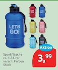 Sportflasche im Angebot bei budni in Buchholz Sportflasche Angebote bei budni Buchholz für 3,99 €