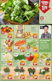 Aktueller REWE Prospekt mit Garten, "Dein Markt", Seite 7