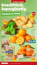 Salat Angebot im aktuellen Penny Prospekt auf Seite 6