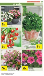 Offre Fleur En Pot dans le catalogue Carrefour Market du moment à la page 29