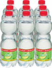 Aktuelles Cola oder Limonaden Angebot bei Netto Marken-Discount in Pirna ab 2,00 €