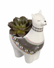 Lidl - Pflanze in Alpacca-Keramik Angebot im Prospekt Pflanze in Alpacca-Keramik bei Lidl im Prospekt "" für 3,99 €