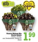 Aktuelle Salat Angebote bei E center in Frankfurt (Main) Aktuelles Bio Bunte Salate Angebot bei E center in Frankfurt (Main) ab 1,99 €