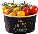 Aktuelle Tomaten Angebote bei E center in Münster Aktuelles Cherrystrauchtomaten-Mix „Honig“ Angebot bei E center in Münster ab 3,99 €