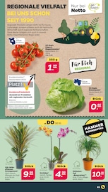 Tomaten im Netto mit dem Scottie Prospekt in Lutherstadt Wittenberg Aktueller Netto mit dem Scottie Prospekt mit Tomaten, "Günstig. Besser. Für Dich.", Seite 3