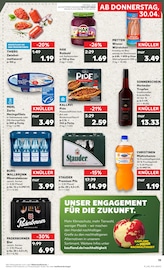 Aktueller Kaufland Prospekt mit Kohle, "Aktuelle Angebote", Seite 19