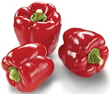 Paprika rot im Angebot bei METRO in Langenhagen Paprika rot Angebote bei METRO Langenhagen für 2,21 €