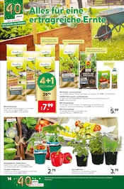 Dünger im BayWa Bau- und Gartenmärkte Prospekt in Würzburg Aktueller BayWa Bau- und Gartenmärkte Prospekt mit Dünger, "Lieblingsplatz", Seite 14