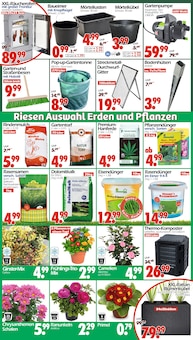 Gartenerde im Wreesmann Prospekt "DEIN SAISON- & SONDERPOSTENMARKT!" mit 8 Seiten (Bremerhaven)