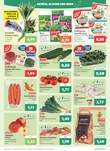 Gemüse im aktuellen aktiv & irma Prospekt (Oldenburg) Gemüse im aktiv & irma Prospekt "Top Angebote" mit 16 Seiten (Oldenburg)