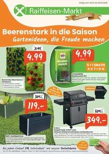 Rindenmulch im aktuellen Raiffeisen Rhein-Ahr-Eifel Handelsgesellschaft mbH Prospekt (Bonn) Rindenmulch im Raiffeisen Rhein-Ahr-Eifel Handelsgesellschaft mbH Prospekt "Beerenstark in die Saison" mit 8 Seiten (Bonn)