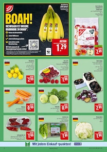 Paprika im Marktkauf Prospekt "AUSWAHL RIESIG, PREISE NIEDRIG" mit 44 Seiten (Leipzig)