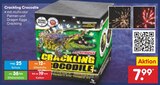 Crackling Crocodile Angebote bei Netto Marken-Discount Iserlohn für 7,99 €