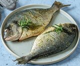 Dorade Rosmarin-Salbei-Melisse im Angebot bei tegut in Mainz Dorade Rosmarin-Salbei-Melisse Angebote bei tegut Mainz für 2,49 €