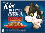 So gut wie es aussieht Katzennassnahrung im Netto mit dem Scottie Prospekt So gut wie es aussieht Katzennassnahrung von Felix im aktuellen Netto mit dem Scottie Prospekt für 3,99 €