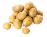 Bio Speisekartoffeln Drillinge Angebote von REWE Bio bei REWE Magdeburg für 1,69 €