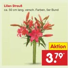 Aktuelle Blumen Angebote bei Netto Marken-Discount in Aachen Aktuelles Lilien Strauß Angebot bei Netto Marken-Discount in Aachen ab 3,79 €