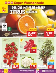 Paprika im Netto Marken-Discount Prospekt "Aktuelle Angebote" mit 59 Seiten (Ulm)