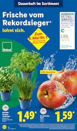 Obst im Lidl Prospekt LIDL LOHNT SICH auf S. 4