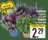 Calluna zweifarbig für 2,29 € bei EDEKA im Angebot Calluna zweifarbig im aktuellen EDEKA Prospekt