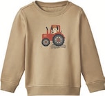 Sweatpullover im Lidl Prospekt Sweatpullover von Lupilu im aktuellen Lidl Prospekt für 3,99 €