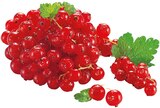Rote Johannisbeeren im Angebot bei REWE in Castrop-Rauxel Rote Johannisbeeren Angebote von REWE Regional bei REWE Castrop-Rauxel für 1,99 €