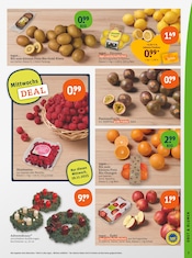 Aktueller tegut Prospekt mit Adventskranz, "tegut… gute Lebensmittel", Seite 5