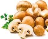 Kultur-champignons braun für 1,29 € bei Netto mit dem Scottie im Angebot Kultur-champignons braun im aktuellen Netto mit dem Scottie Prospekt