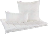 Betten-Serie „Pure Breeze“ im Angebot bei XXXLutz Möbelhäuser in Straubing Betten-Serie „Pure Breeze“ Angebote von Centa-Star bei XXXLutz Möbelhäuser Straubing für 39,99 €
