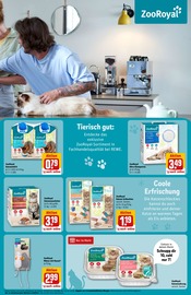Katzenstreu im REWE Prospekt in Willich Aktueller REWE Prospekt mit Katzenstreu, "Dein Markt", Seite 29