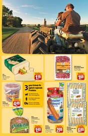 Sonnenblumenkerne im REWE Prospekt in Kiel Aktueller REWE Prospekt mit Sonnenblumenkerne, "Dein Markt", Seite 33