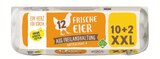 Frische Eier aus Freilandhaltung XXL Angebote bei Lidl Offenbach für 2,29 €