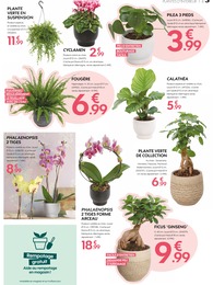 Prix et réduction Bricolage et Jardin dans le prospectus Truffaut en cours Offre Bricolage et Jardin dans le catalogue Truffaut du moment à la page 3
